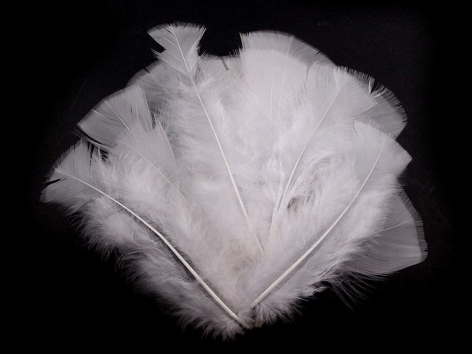 Krůtí peří délka 11-17 cm, barva 1 bílá