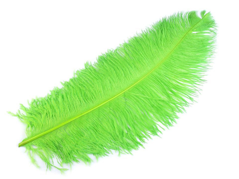 Pštrosí peří délka 60 cm, barva 2 zelená sv.
