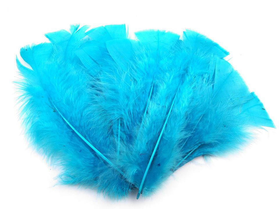 Krůtí peří délka 11-17 cm, barva 3 modrá sytá