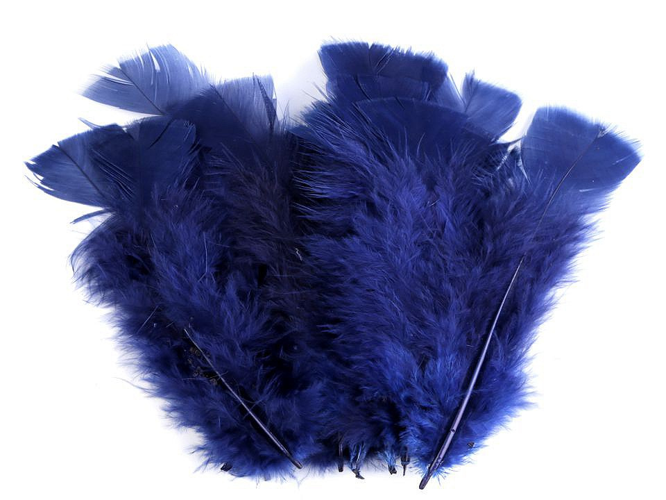 Krůtí peří délka 11-17 cm, barva 17 modrá tmavá