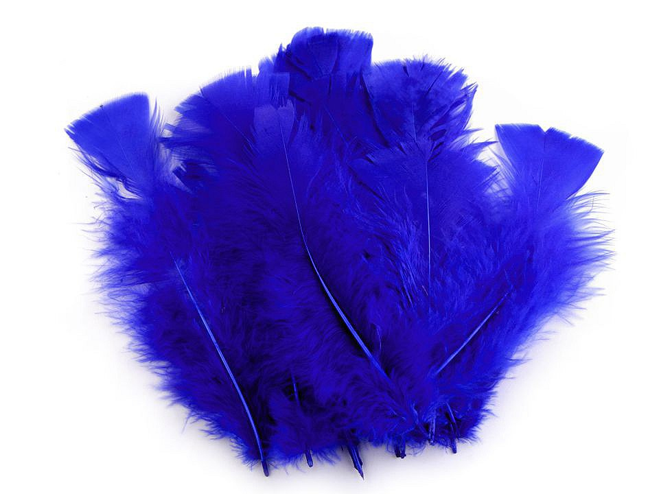 Krůtí peří délka 11-17 cm, barva 13 modrá královská