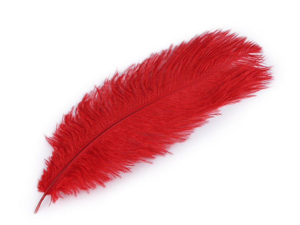 Pštrosí peří délka cca 20-25 cm, barva 22 červená