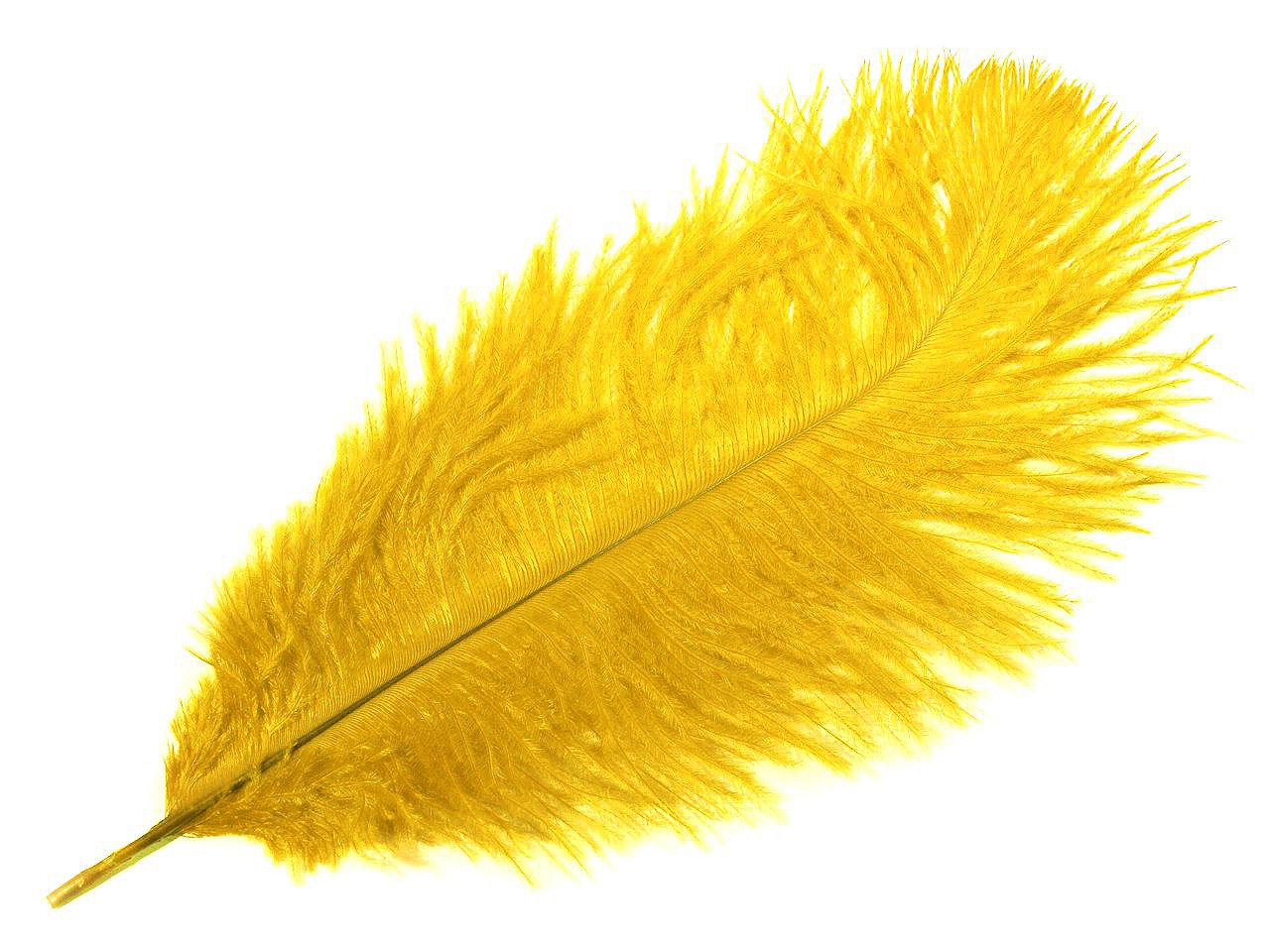 Pštrosí peří délka cca 20-25 cm, barva 19 hořčicová