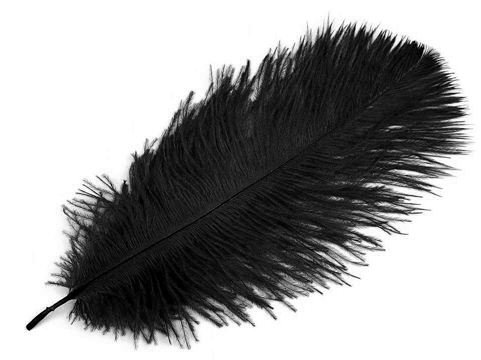 Pštrosí peří délka cca 20-25 cm, barva 2 černá