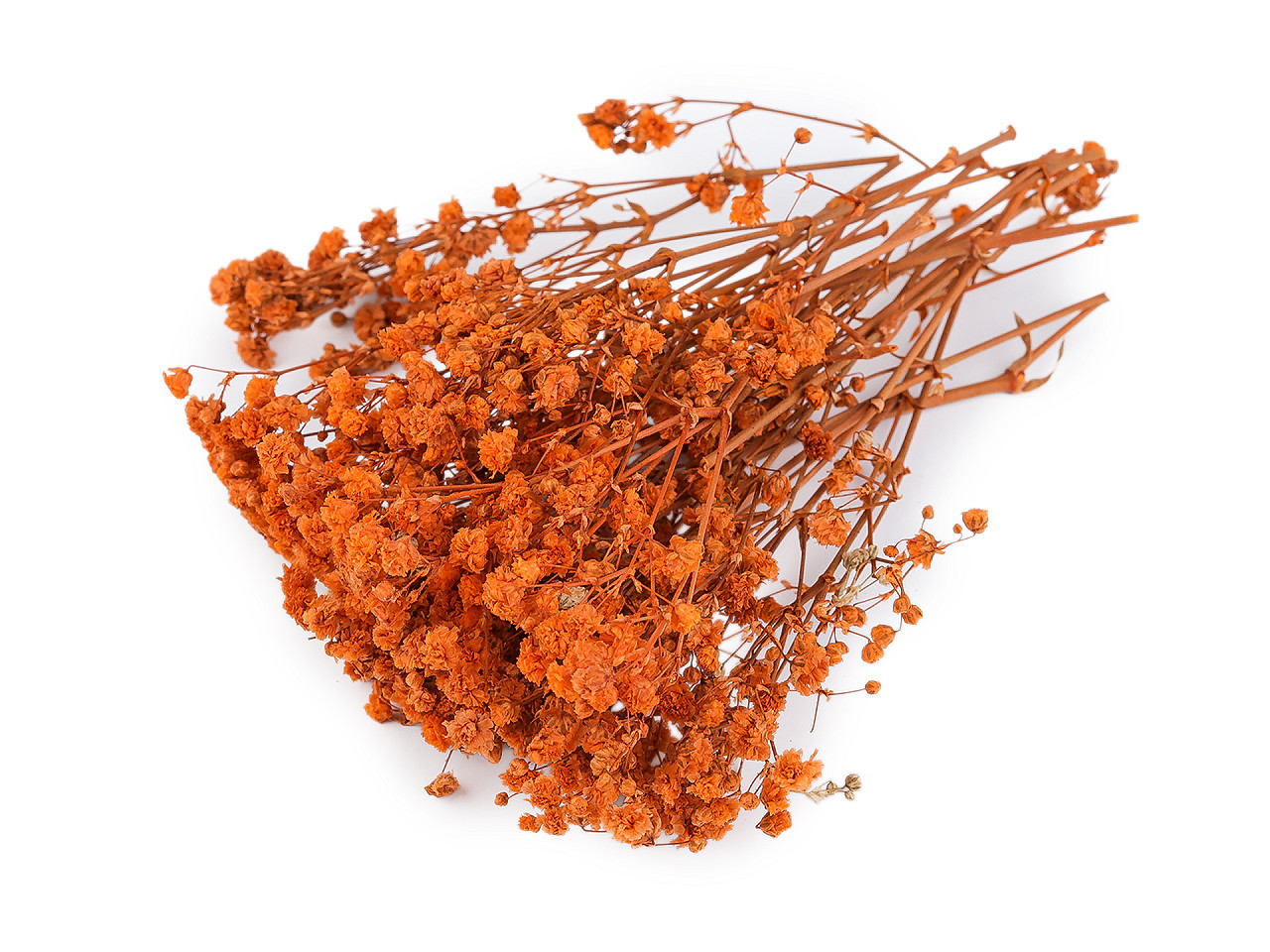 Sušený / stabilizovaný nevěstin závoj pro suché i mokré aranžování, barva 20 oranžová krabička