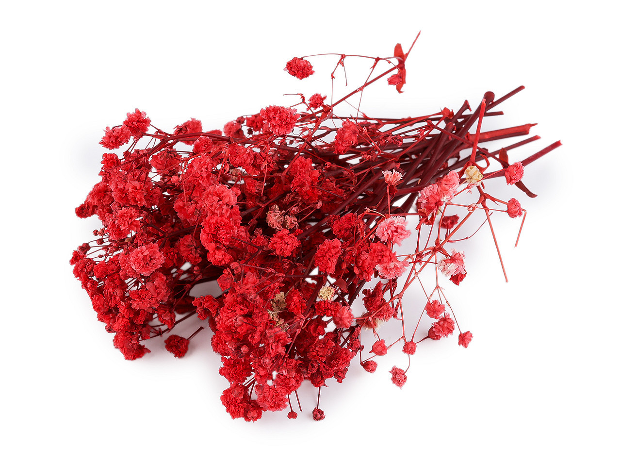 Sušený / stabilizovaný nevěstin závoj pro suché i mokré aranžování, barva 19 červená krabička