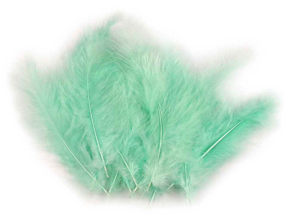 Pštrosí peří délka 9-16 cm, barva 31 mint