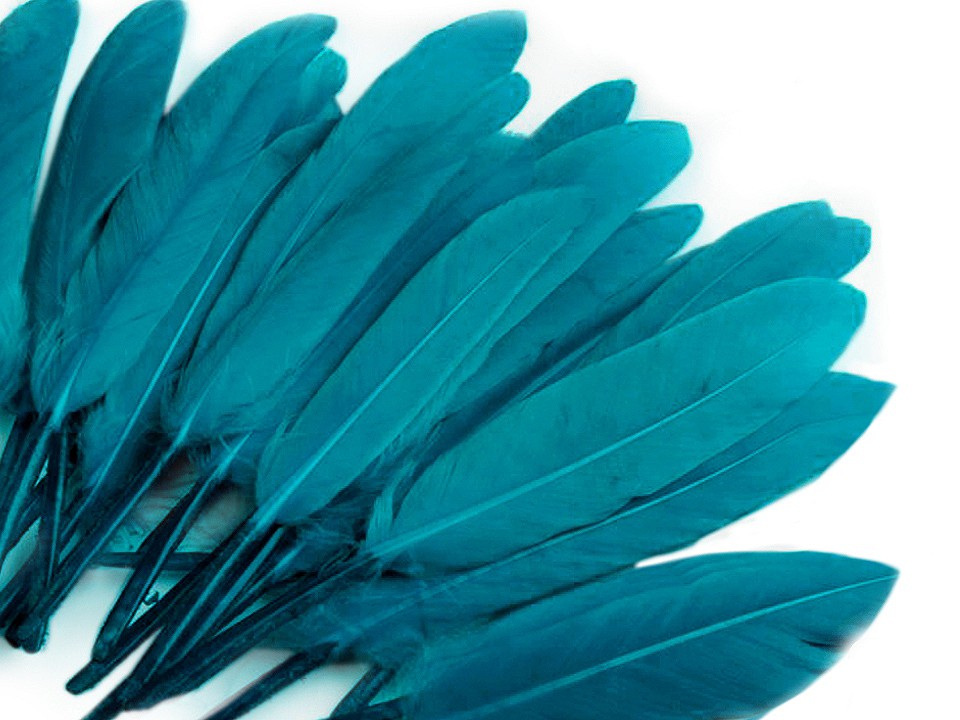 Kachní peří délka 9-14 cm, barva 28 modrá kachní