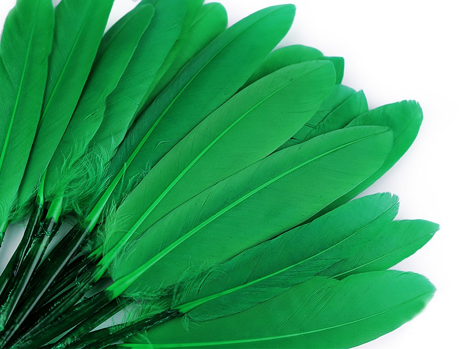 Kachní peří délka 9-14 cm, barva 30 zelená pastelová