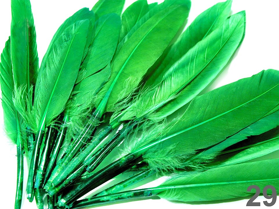 Kachní peří délka 9-14 cm, barva 29 zelená irská