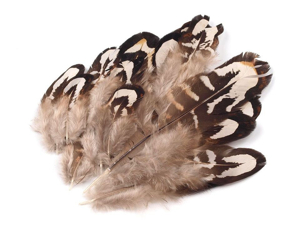 Fotografie Bažantí peří délka 4-10 cm, barva šedobéžová