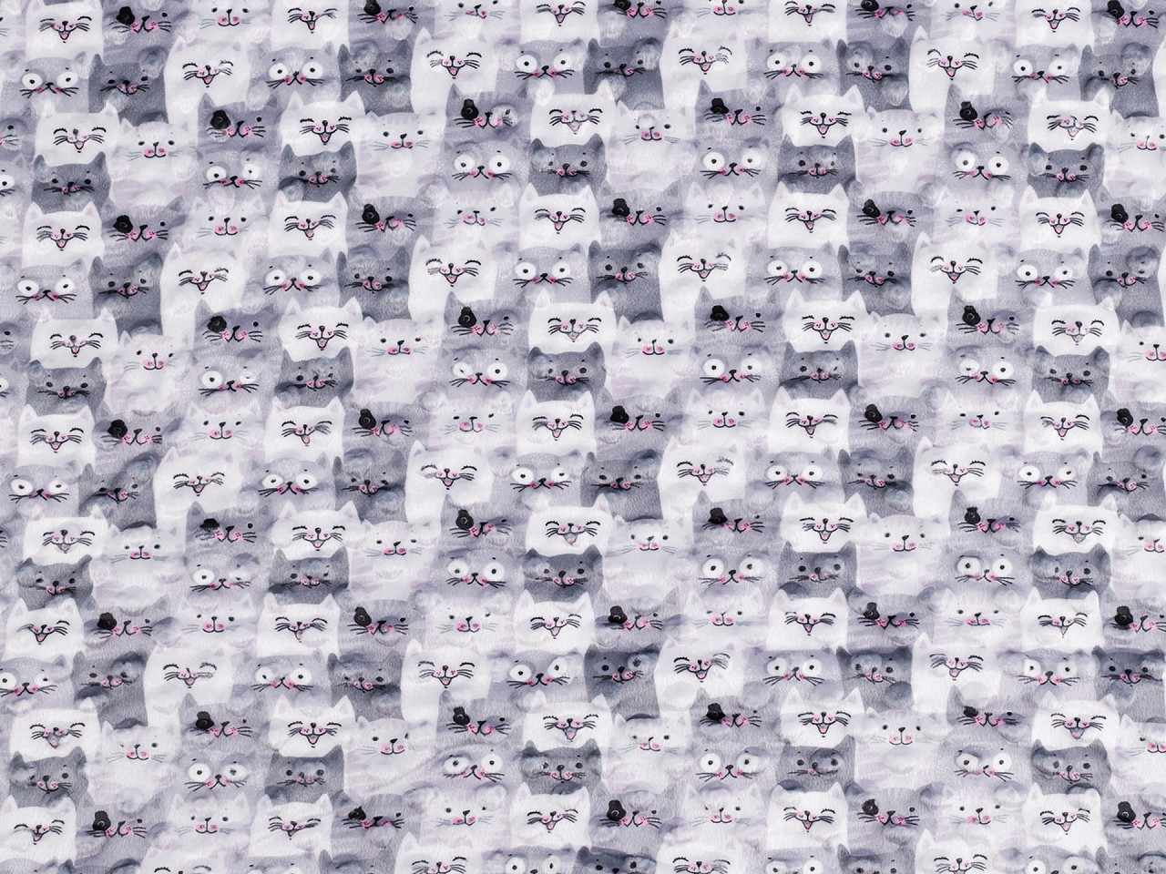 Minky s 3D puntíky kočky, barva šedá