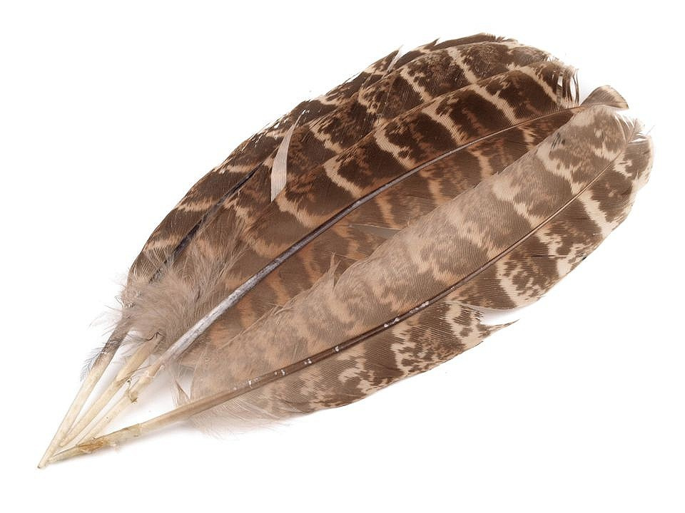 Fotografie Bažantí peří délka 10-18 cm, barva hnědá světlá