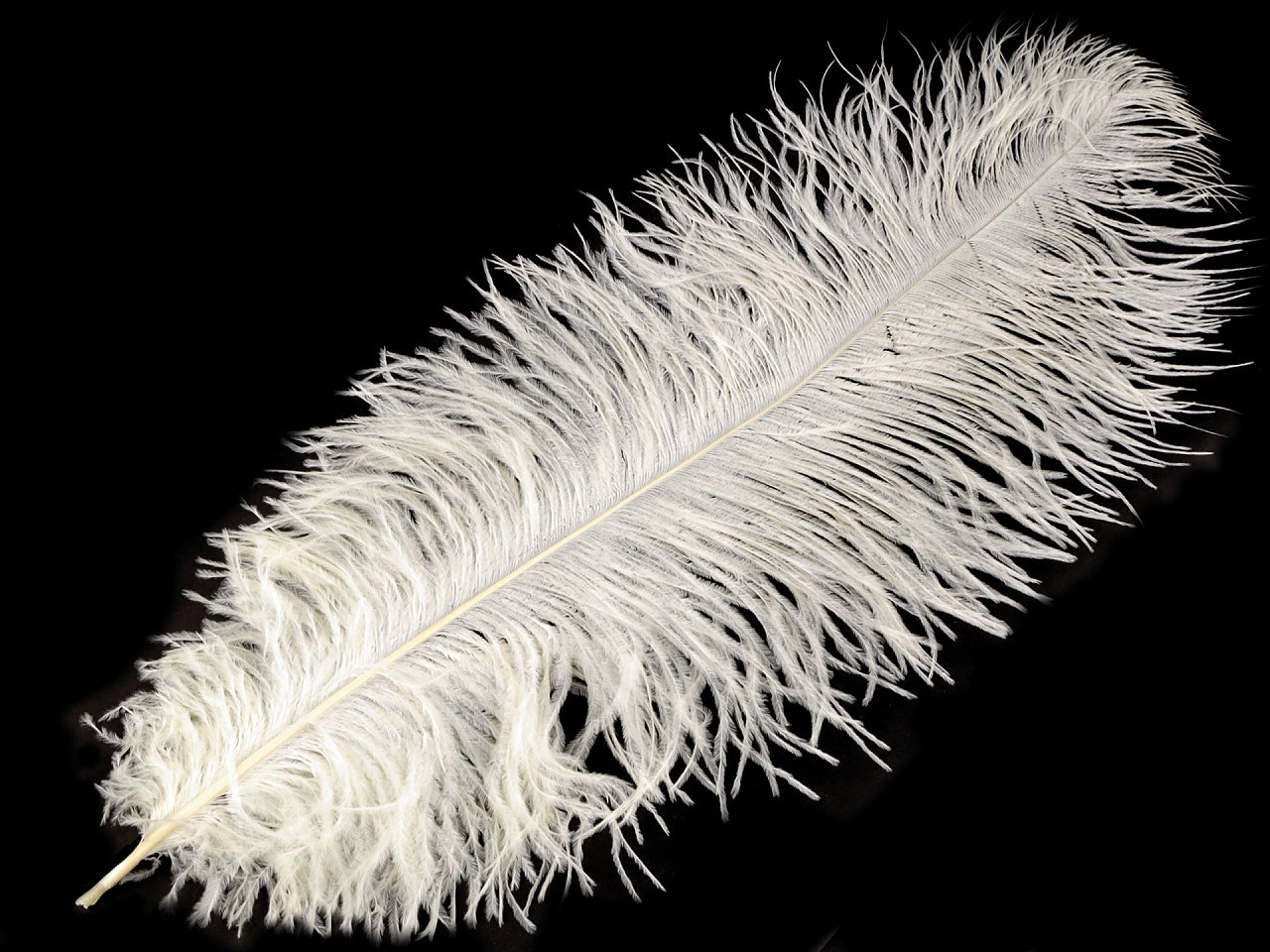 Fotografie Pštrosí peří délka 60 cm, barva 21 krémová světlá