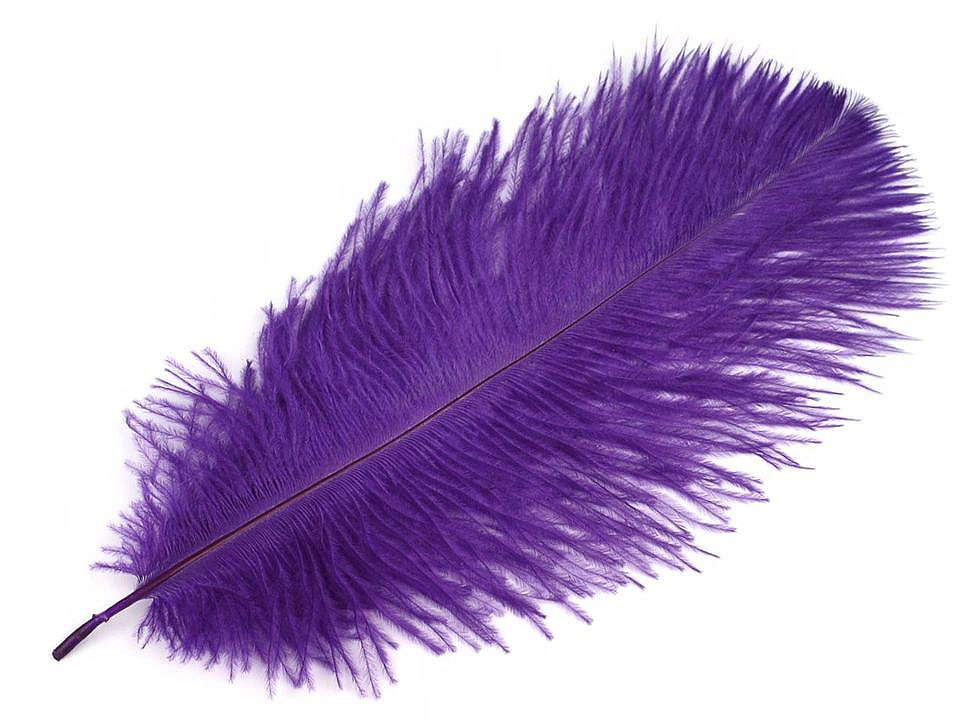 Pštrosí peří délka cca 20-25 cm, barva 9 fialová purpura