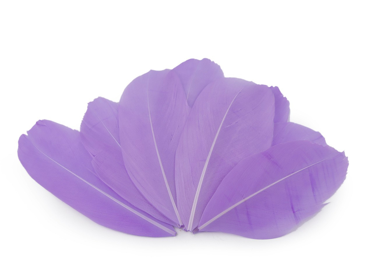 Husí peří délka 5,5-7 cm, barva 16 fialová lila