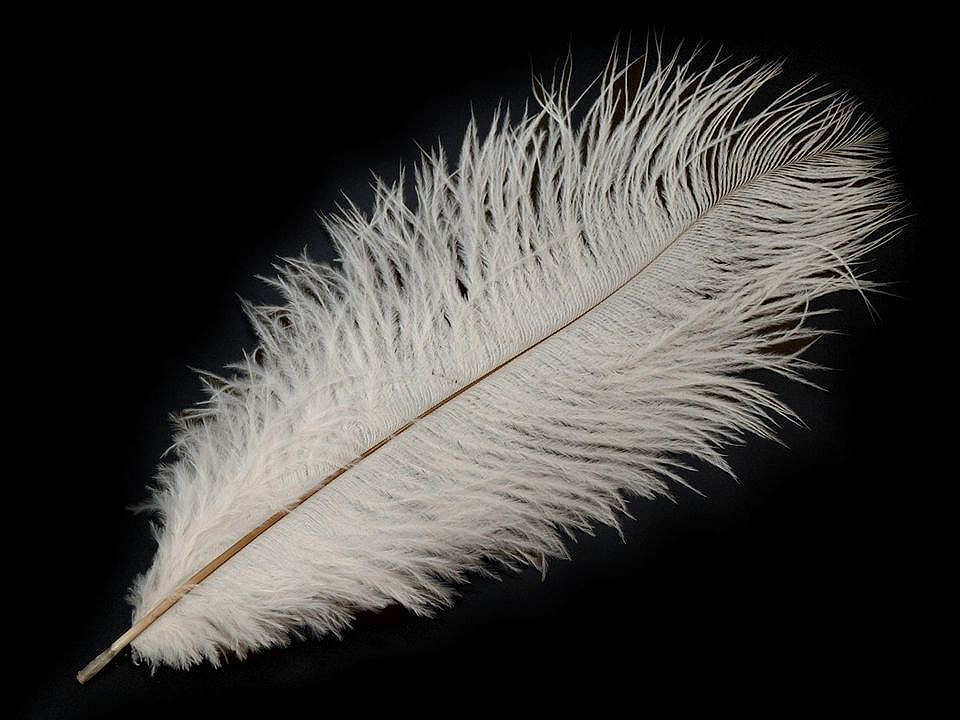 Pštrosí peří délka cca 20-25 cm, barva 1 bílá