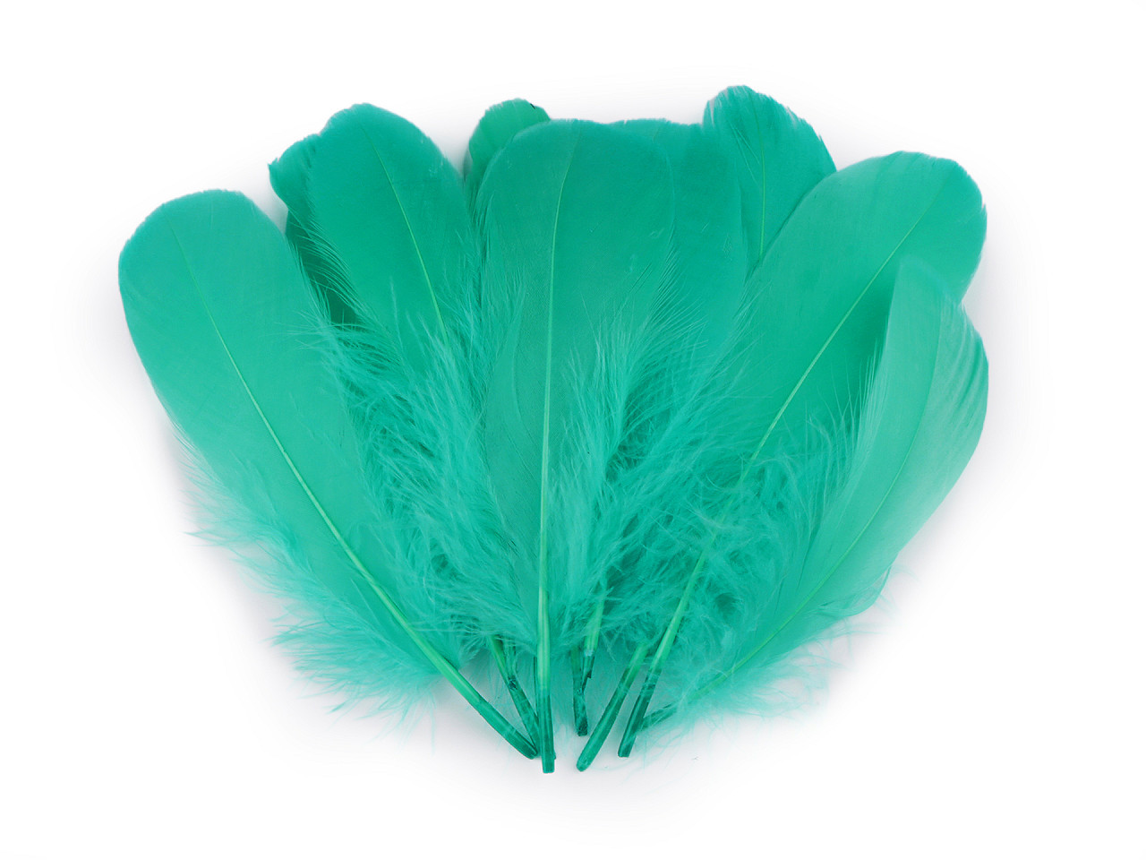 Husí peří délka 14-18 cm, barva 13 zelená smaragdová
