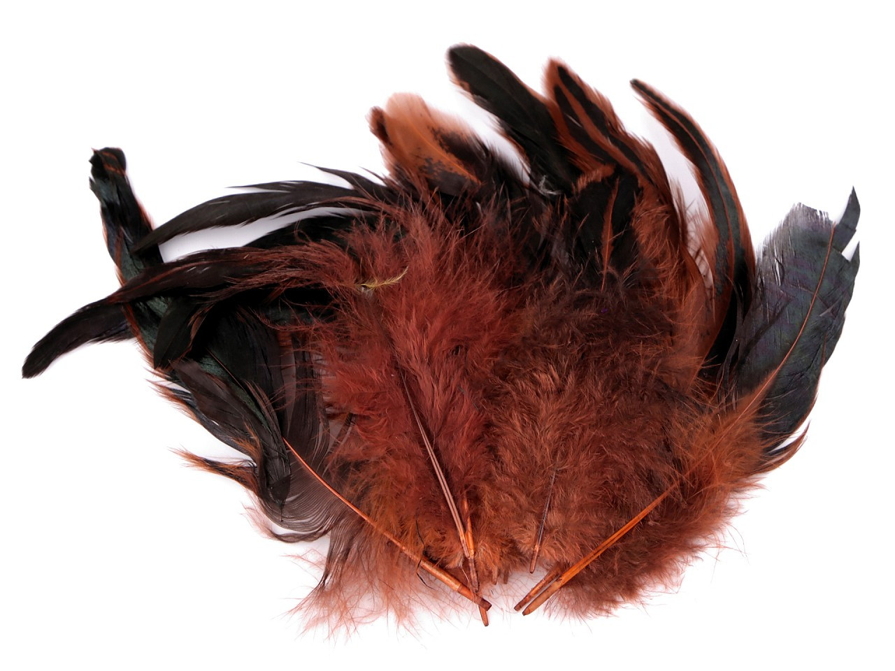 Slepičí peří délka 6-20 cm, barva 22 červenohnědá