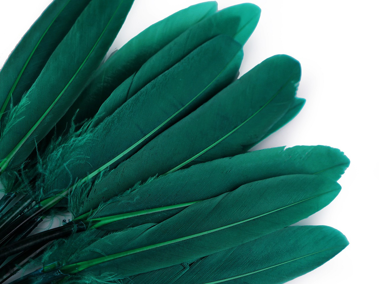 Kachní peří délka 9-14 cm, barva 38 zelená smaragdová tmavá