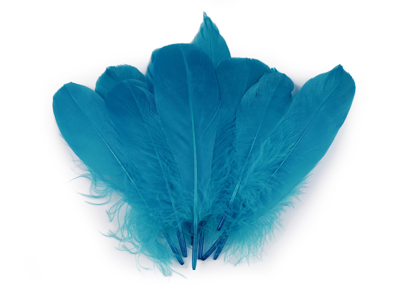 Husí peří délka 14-18 cm, barva 14 modrá tyrkys