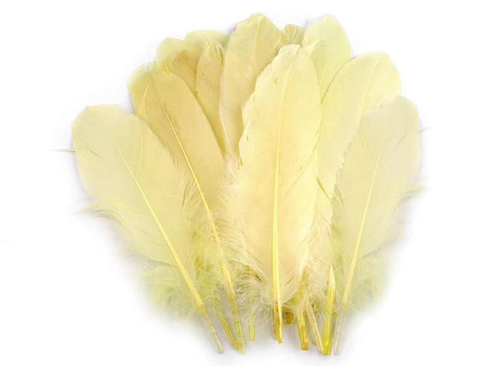 Husí peří délka 12-21 cm, barva 3 žlutá světlá