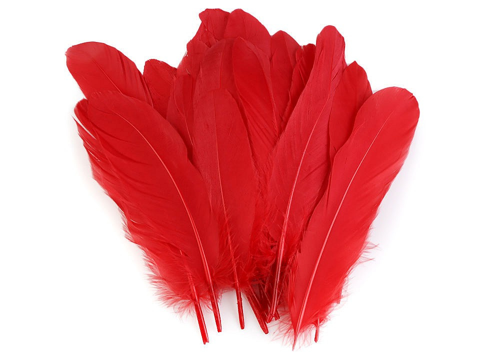 Husí peří délka 12-21 cm, barva 4 červená tmavá