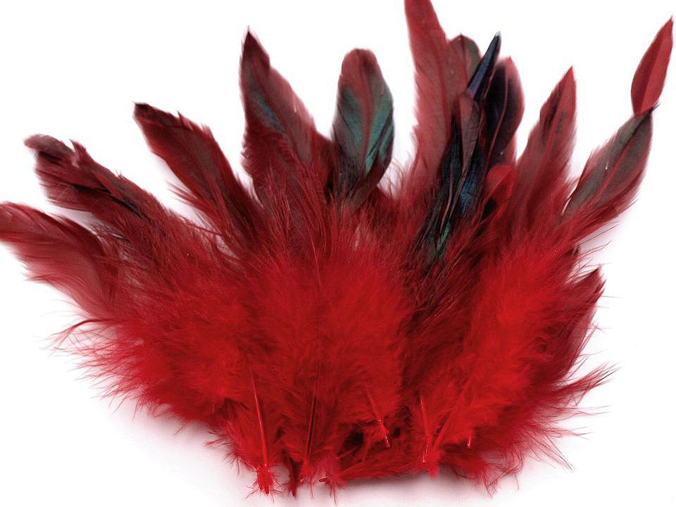 Slepičí peří délka 6-20 cm, barva 3 červená tmavá