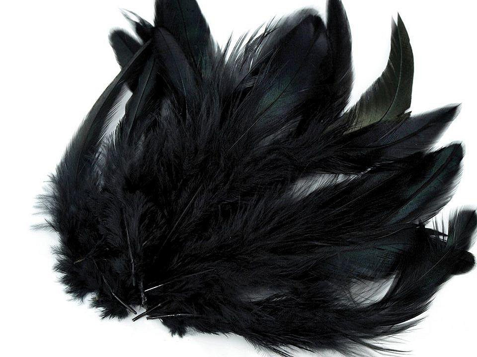 Slepičí peří délka 6-20 cm, barva 9 černá