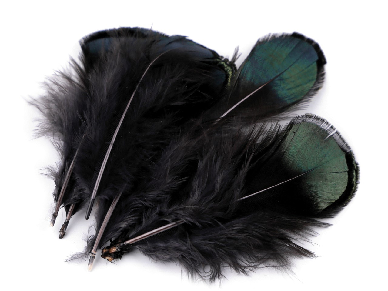 Bažantí peří délka 4,5-9 cm, barva 2 zelená šedá tmavá