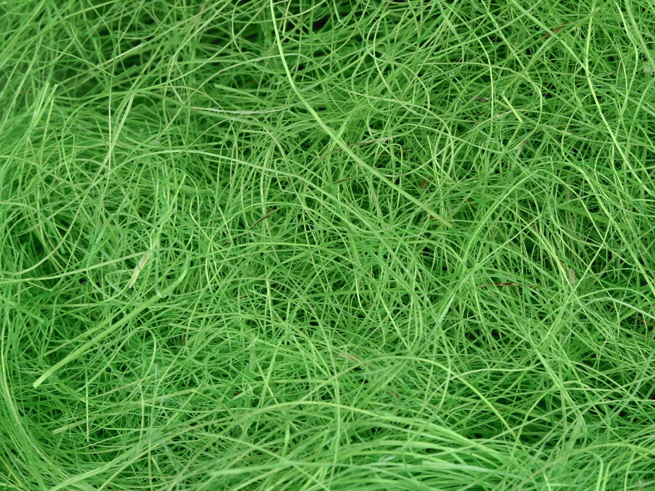 Fotografie Sisal přírodní, barva 5 zelená trávová