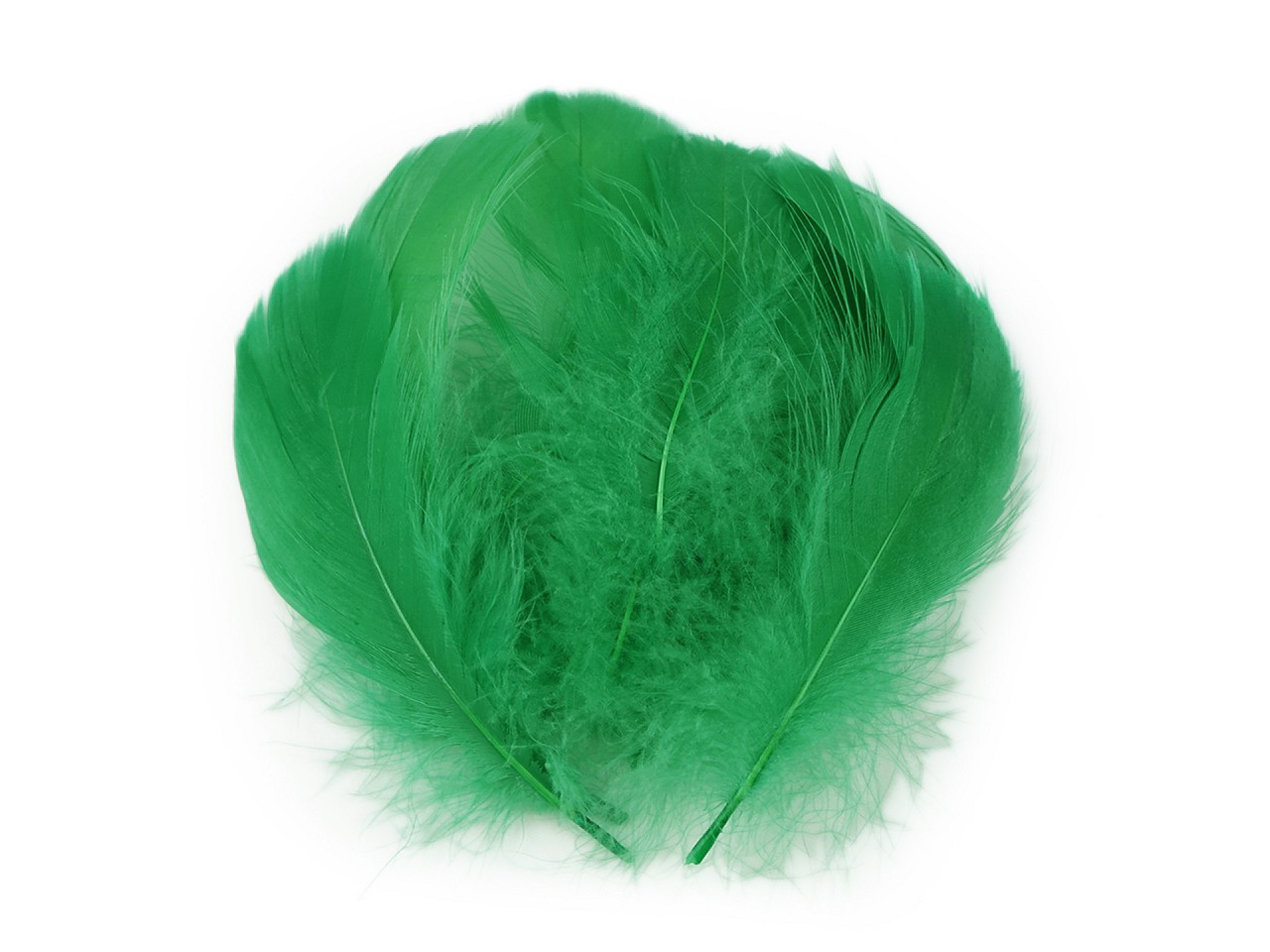 Pštrosí peří délka 6-11 cm, barva 6 zelená pastelová