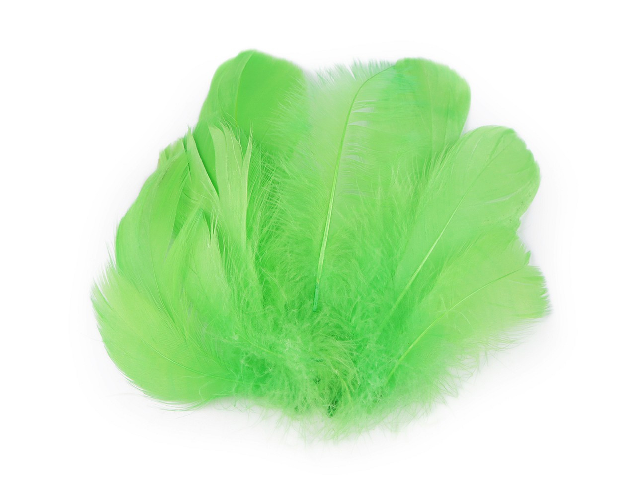 Pštrosí peří délka 6-11 cm, barva 5 zelená sv.