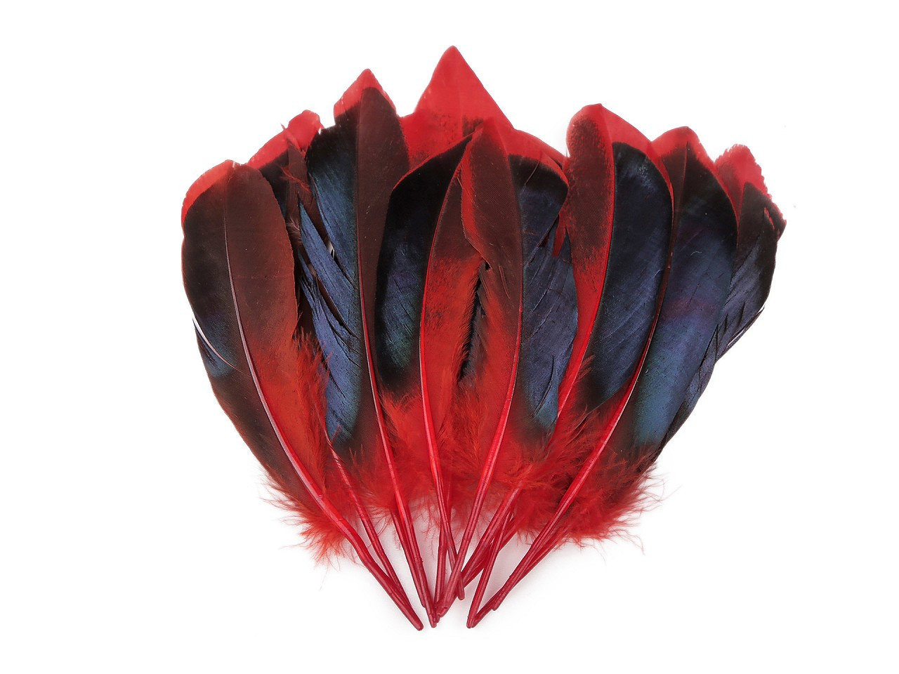 Kachní peří délka 13-15 cm, barva 1 červená