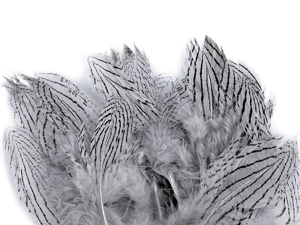 Bažantí peří délka 5 - 11 cm, barva 7 šedá nejsvětlější