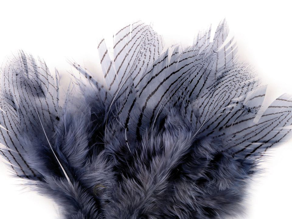 Bažantí peří délka 5 - 11 cm, barva 4 modrá kouřová