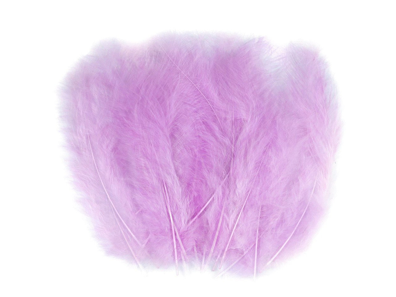 Pštrosí peří délka 9-16 cm, barva 19 fialová sv.
