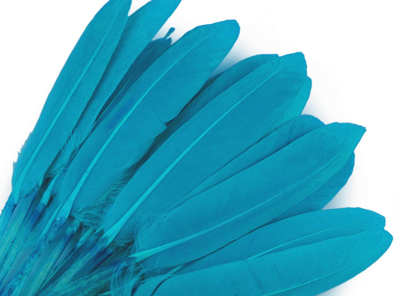 Fotografie Kachní peří délka 9-14 cm, barva 46 modrá tyrkys