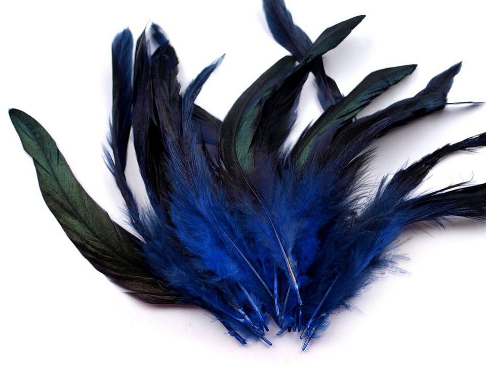 Slepičí peří délka 6-20 cm, barva 13 modrá královská