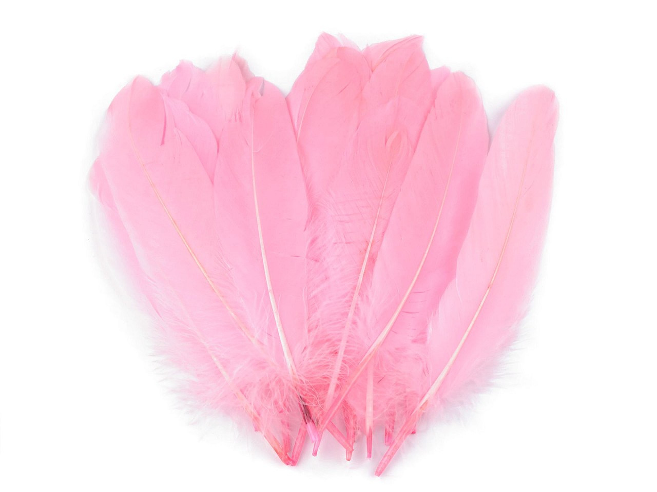 Fotografie Husí peří délka 12-21 cm, barva 40 růžová střední