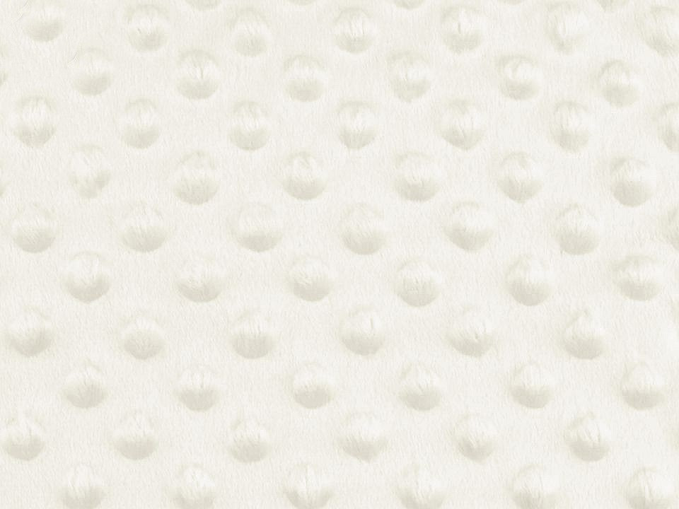 Minky s 3D puntíky, barva 19 (2) Off White