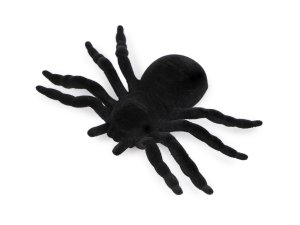 Sametový pavouk Halloween