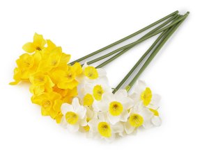Umělý narcis
