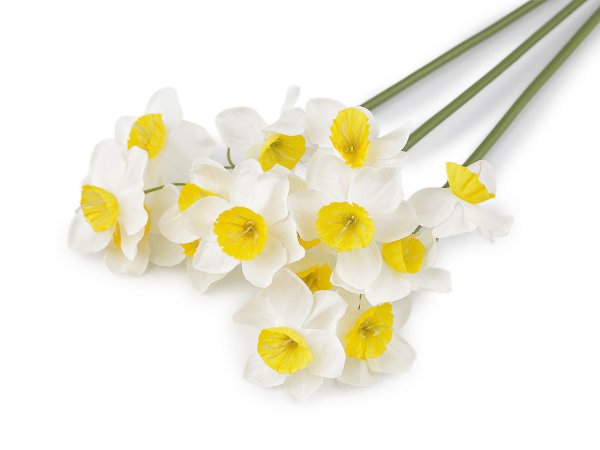 Umělý narcis