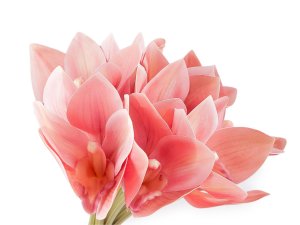 Umělá orchidej svazek