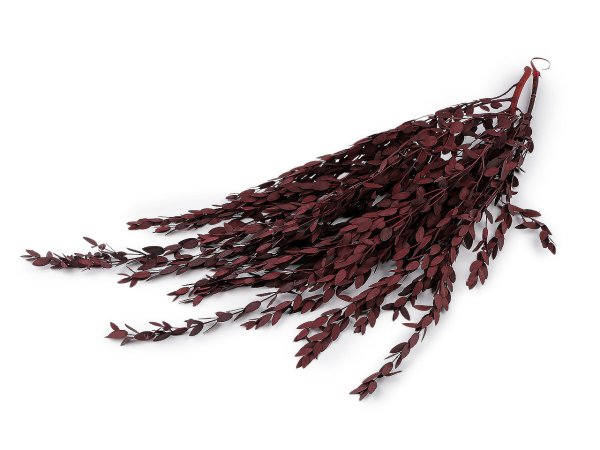 Stabilizovaný olivovník svazek