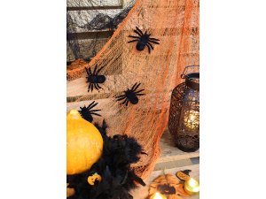 Sametový pavouk Halloween