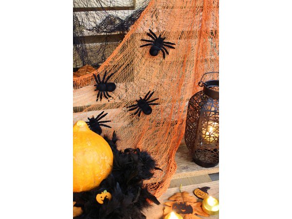 Sametový pavouk Halloween