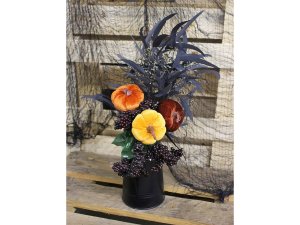 Zápich sametová dýně