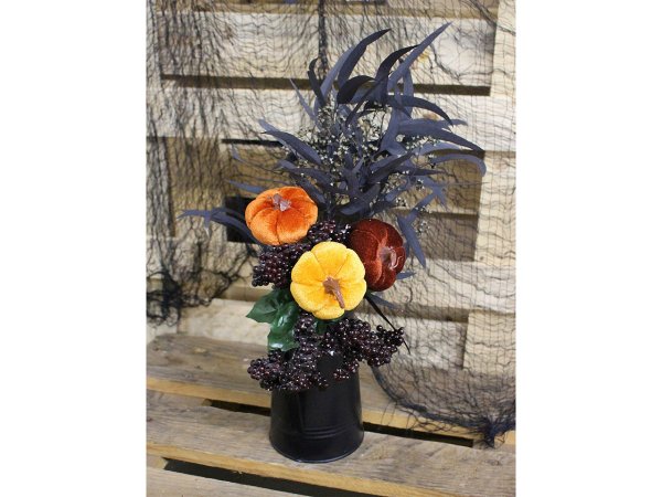 Zápich sametová dýně